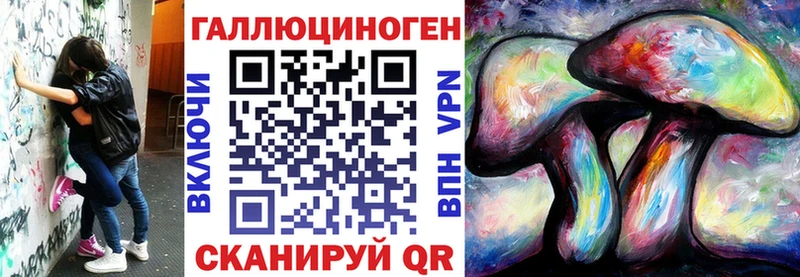 дарнет шоп  Белая Холуница  Псилоцибиновые грибы GOLDEN TEACHER 